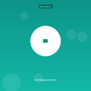 Bio-Antigripal Noche