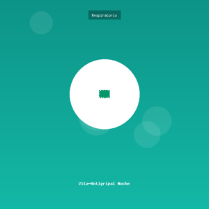 Vita-Antigripal Noche